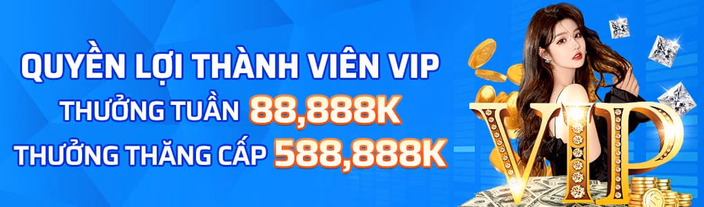 Ưu đãi dành cho thành viên mới A088